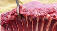 厂家大量供应优质保鲜野猪肉，满足市场高品质需求