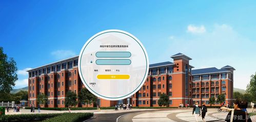 高校毕业生信息采集系统的设计与实现——基于Java与Vue的前后端分离架构